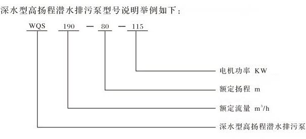 WQS型号说明.jpg